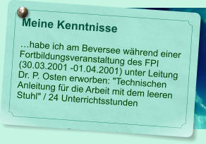 Meine Kenntnisse   habe ich am Beversee whrend einer  Fortbildungsveranstaltung des FPI (30.03.2001 -01.04.2001) unter Leitung Dr. P. Osten erworben: "Technischen Anleitung fr die Arbeit mit dem leeren Stuhl" / 24 Unterrichtsstunden